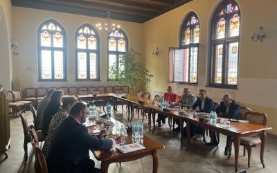 Nadzwyczajne Zgromadzenie Wspólników